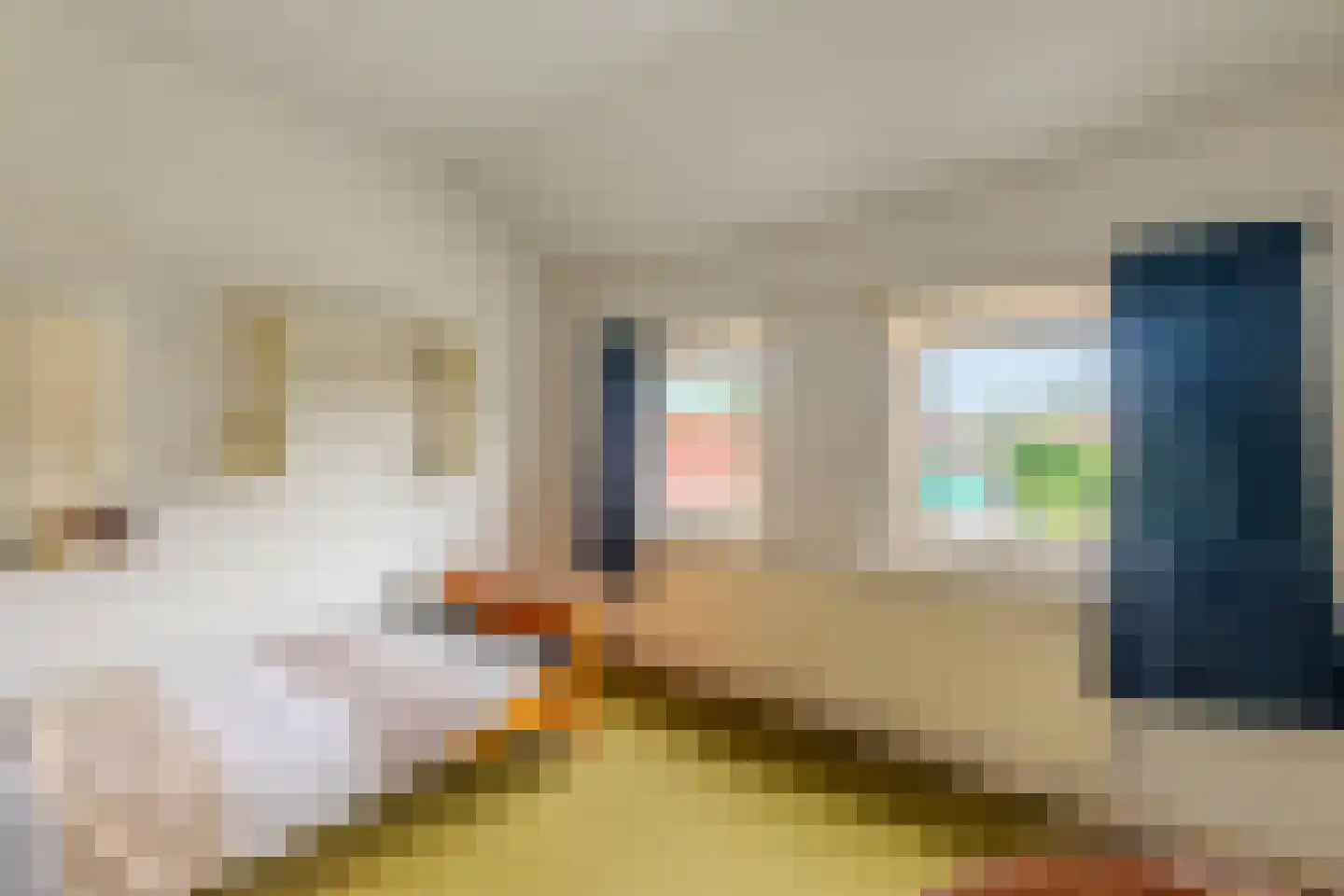 Wilhelmietenstraat 6 Huijbergen thumbnail 25
