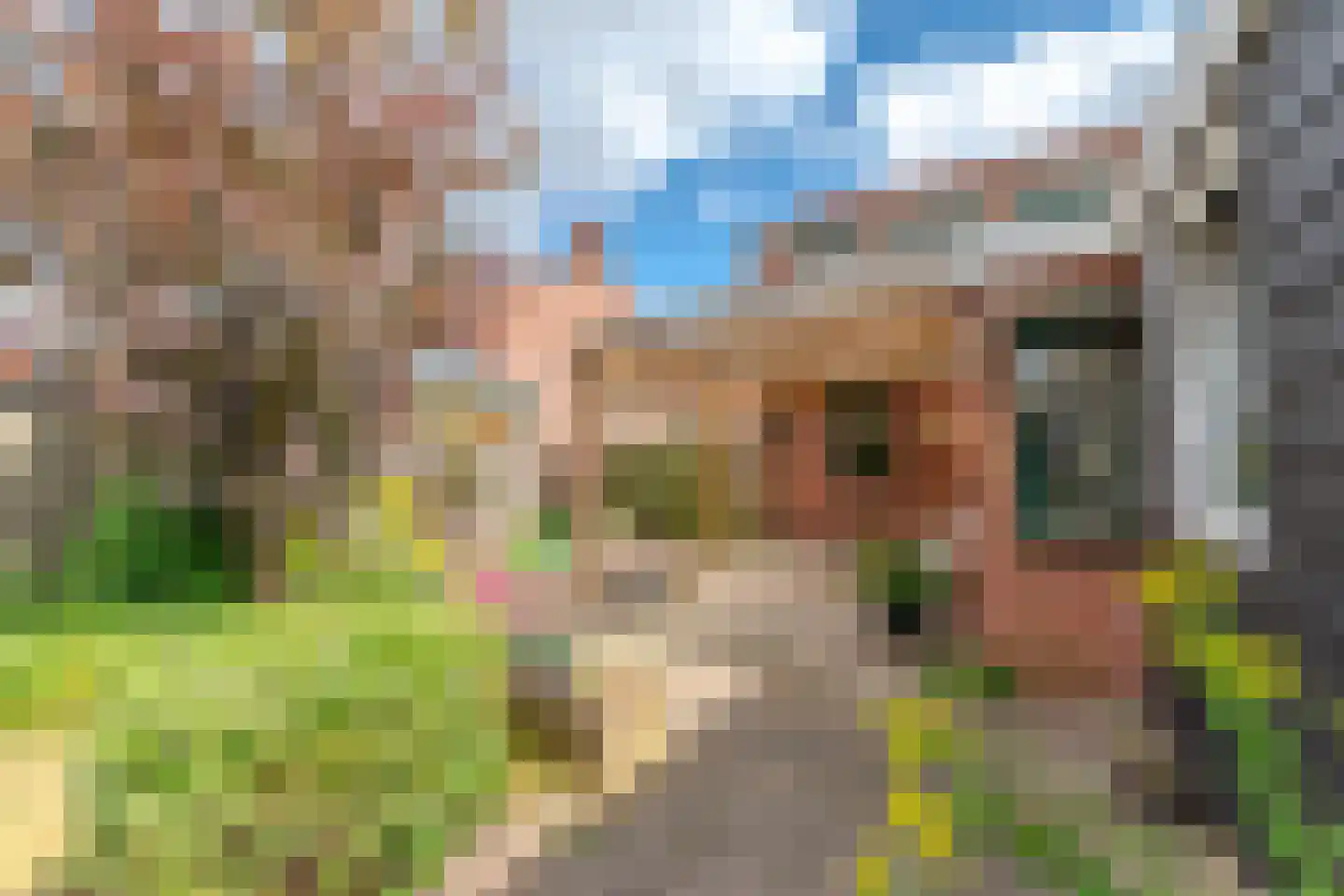 Wilhelmietenstraat 6 Huijbergen thumbnail 36
