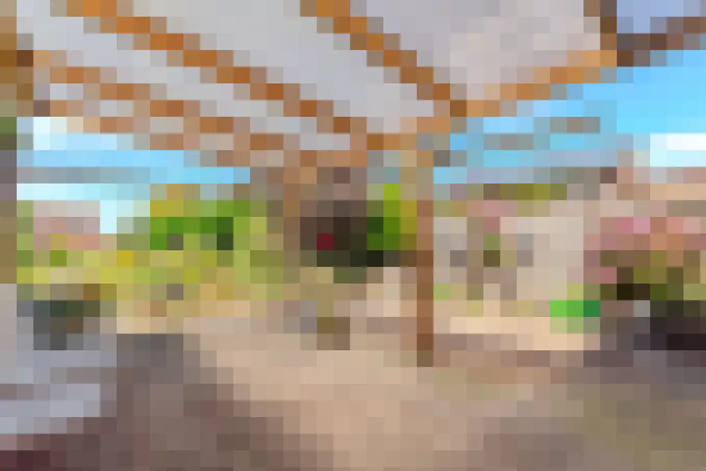 Wilhelmietenstraat 6 Huijbergen thumbnail 39