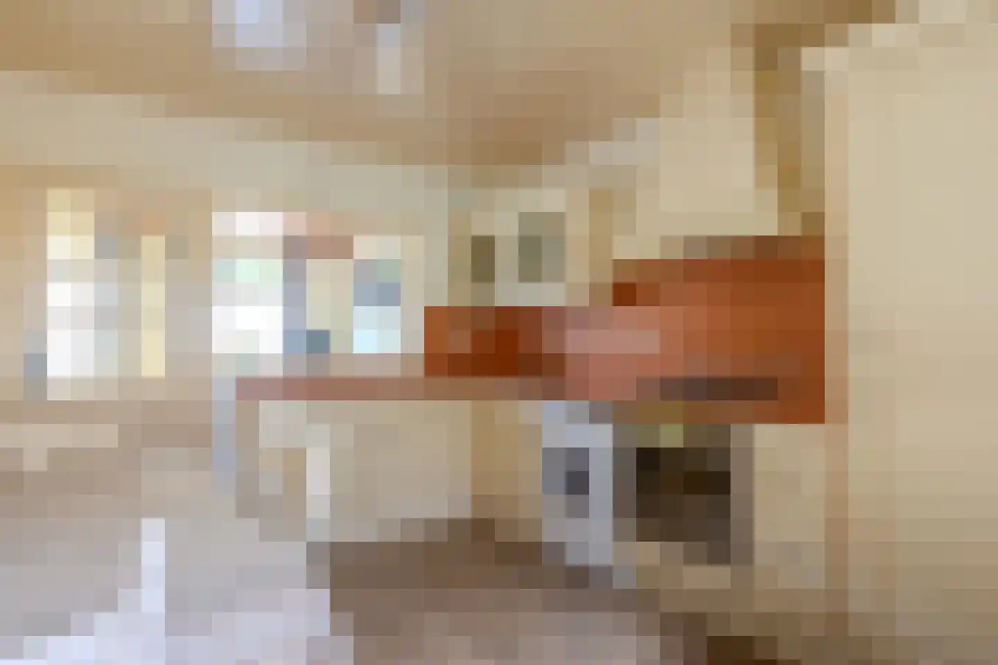 Wilhelmietenstraat 6 Huijbergen thumbnail 4