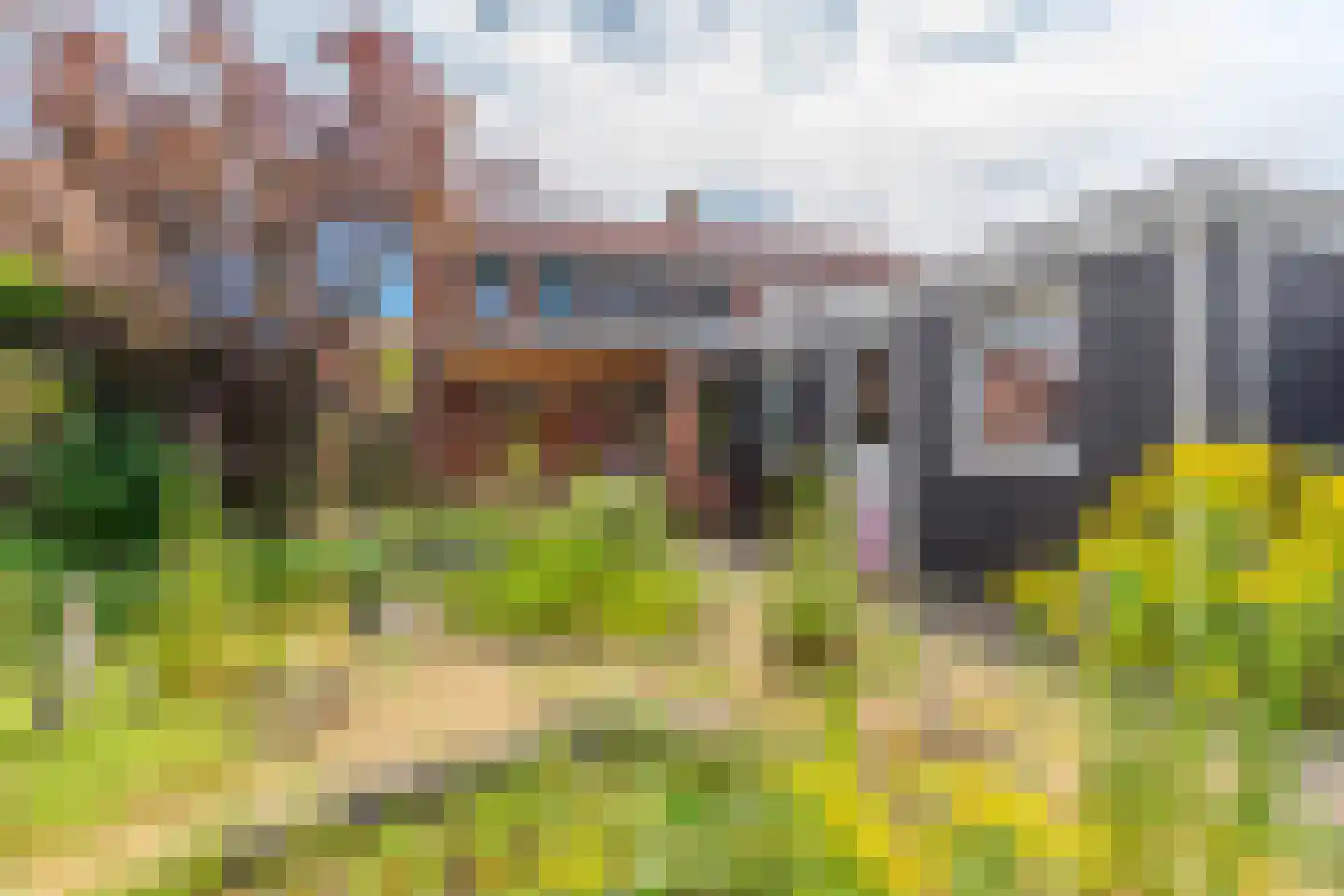 Wilhelmietenstraat 6 Huijbergen thumbnail 41