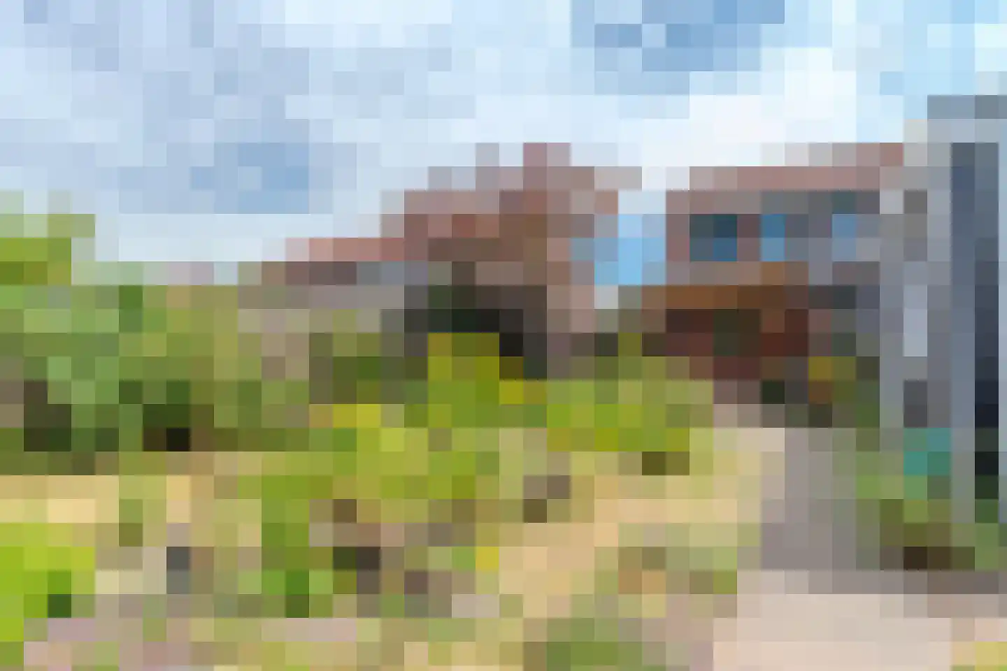 Wilhelmietenstraat 6 Huijbergen thumbnail 42