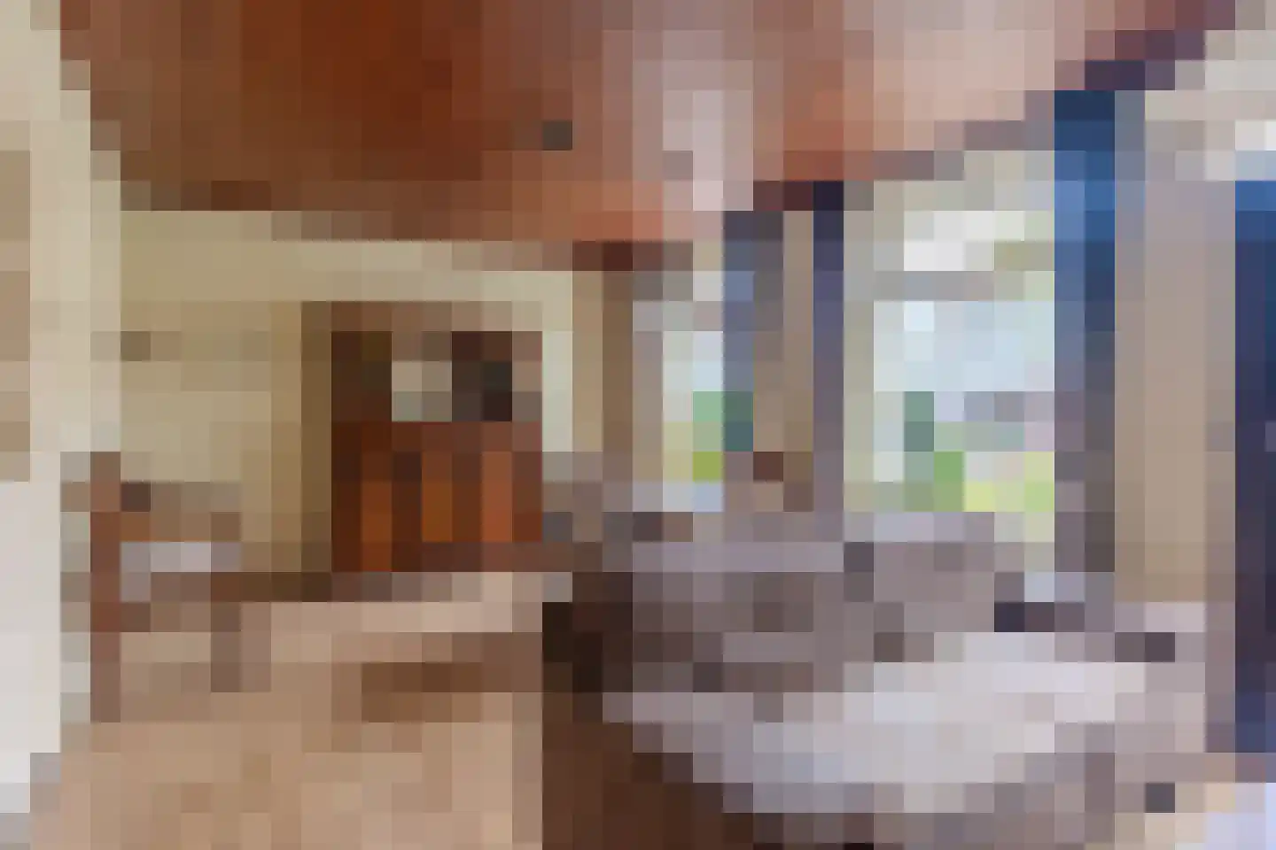 Wilhelmietenstraat 6 Huijbergen thumbnail 5