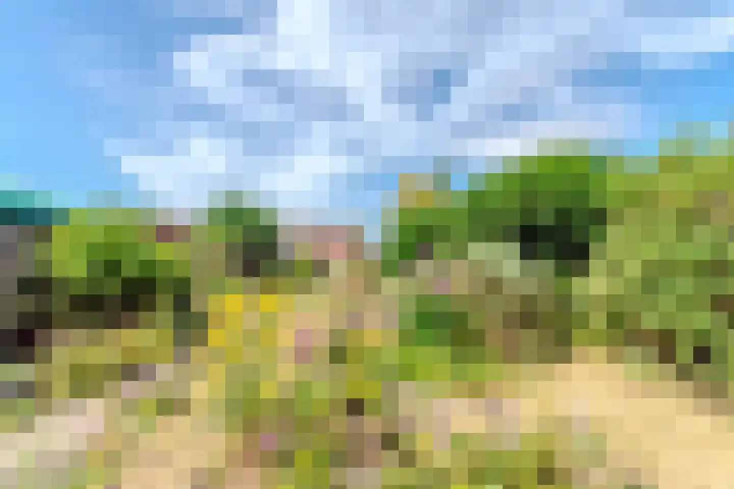 Wilhelmietenstraat 6 Huijbergen thumbnail 7