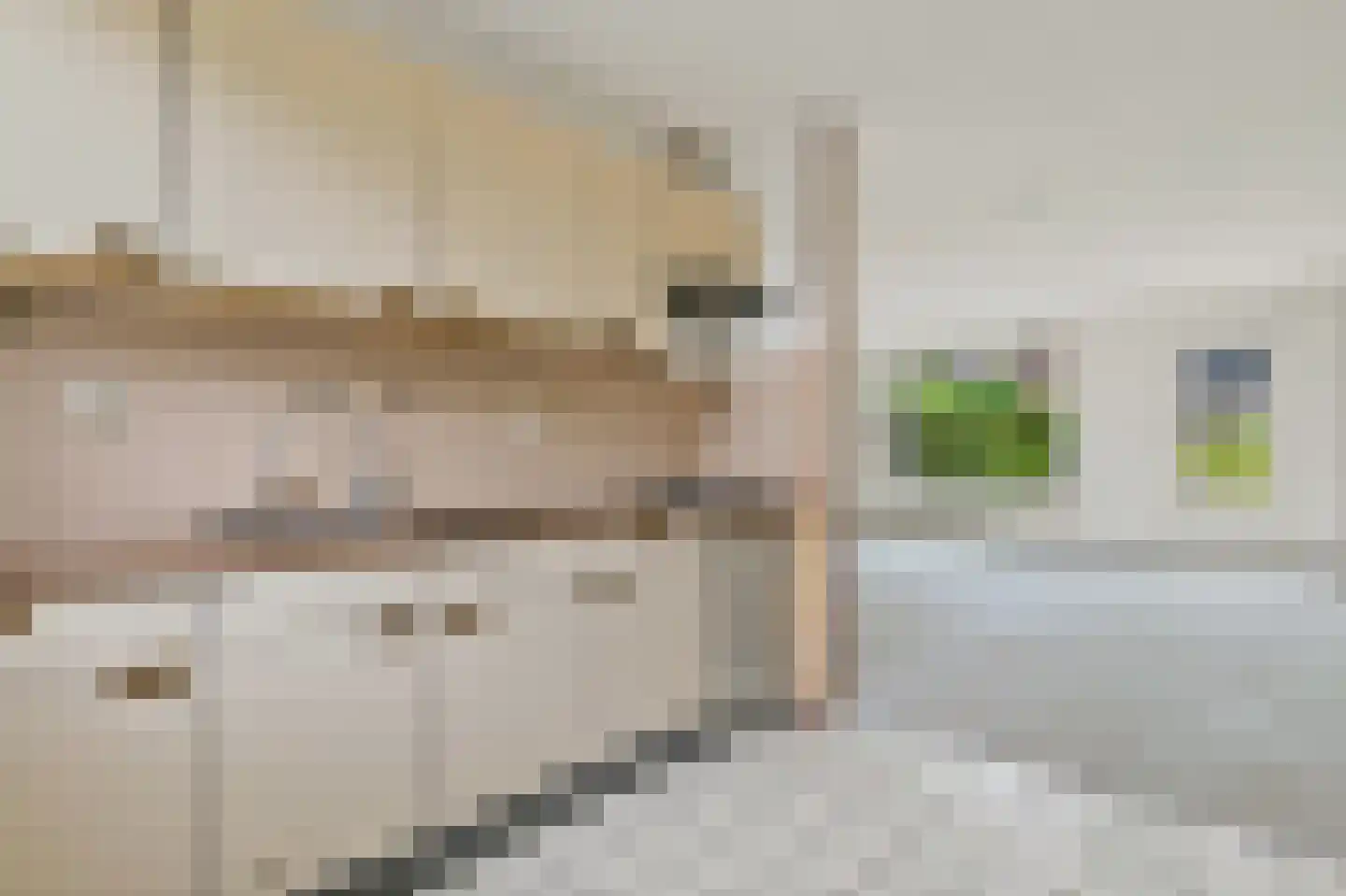Wilhelmina Druckererf 15 Voorschoten thumbnail 12