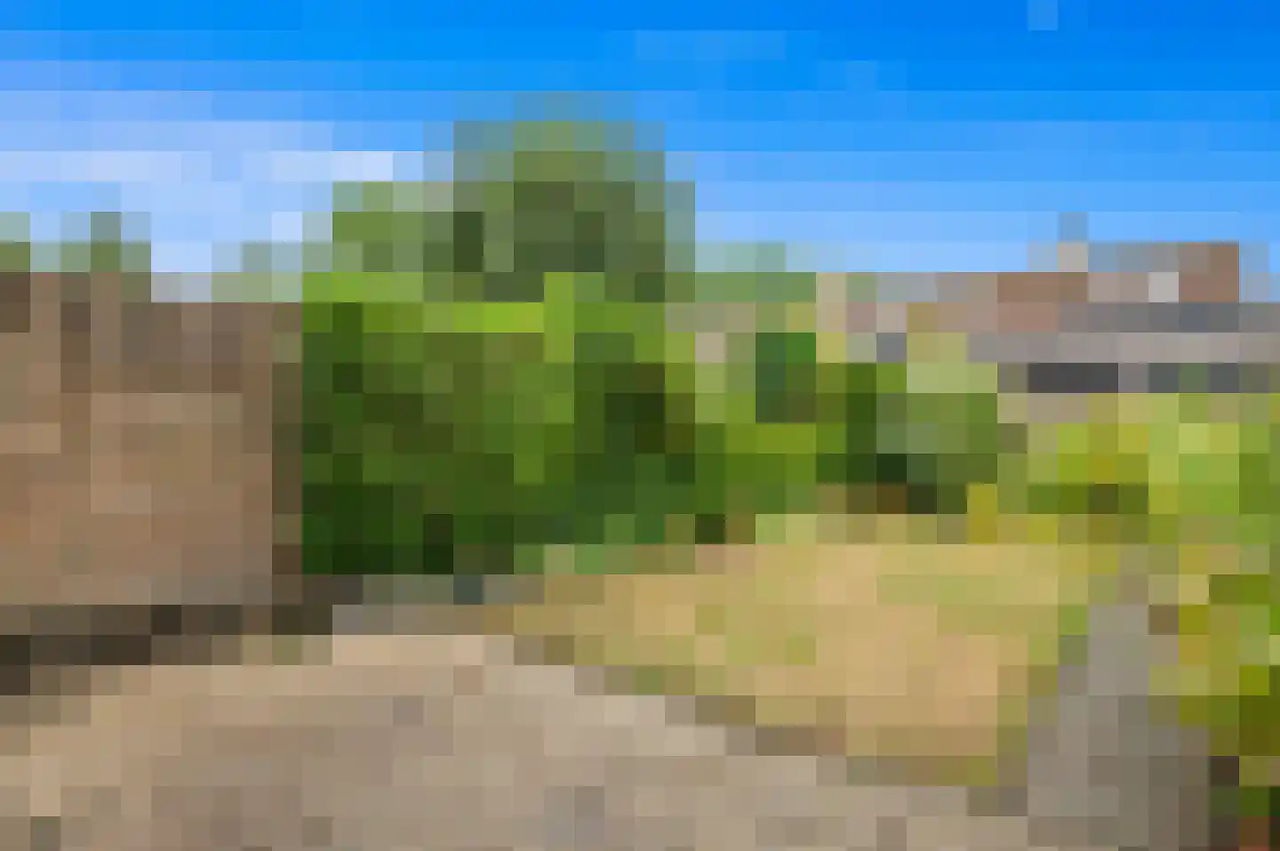 Wilhelmina Druckererf 15 Voorschoten thumbnail 15