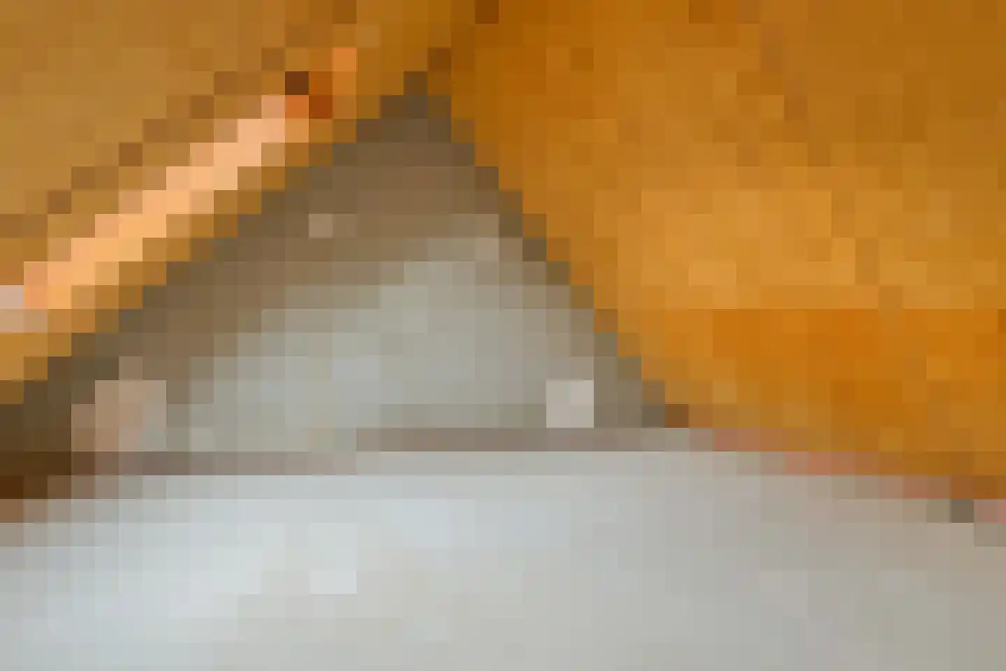 Wilhelmina Druckererf 15 Voorschoten thumbnail 26