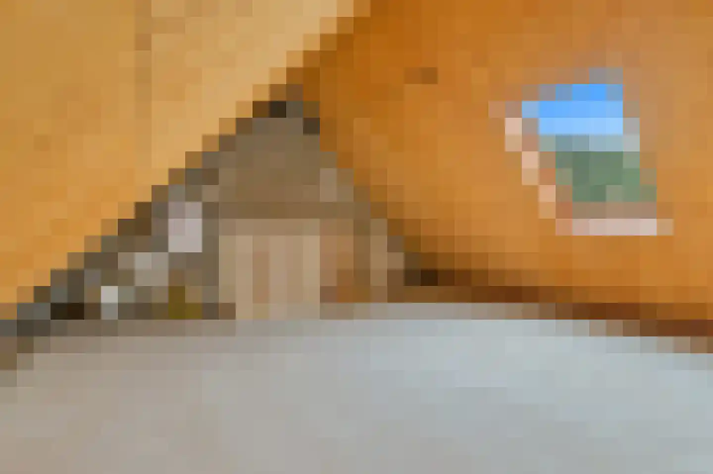 Wilhelmina Druckererf 15 Voorschoten thumbnail 27