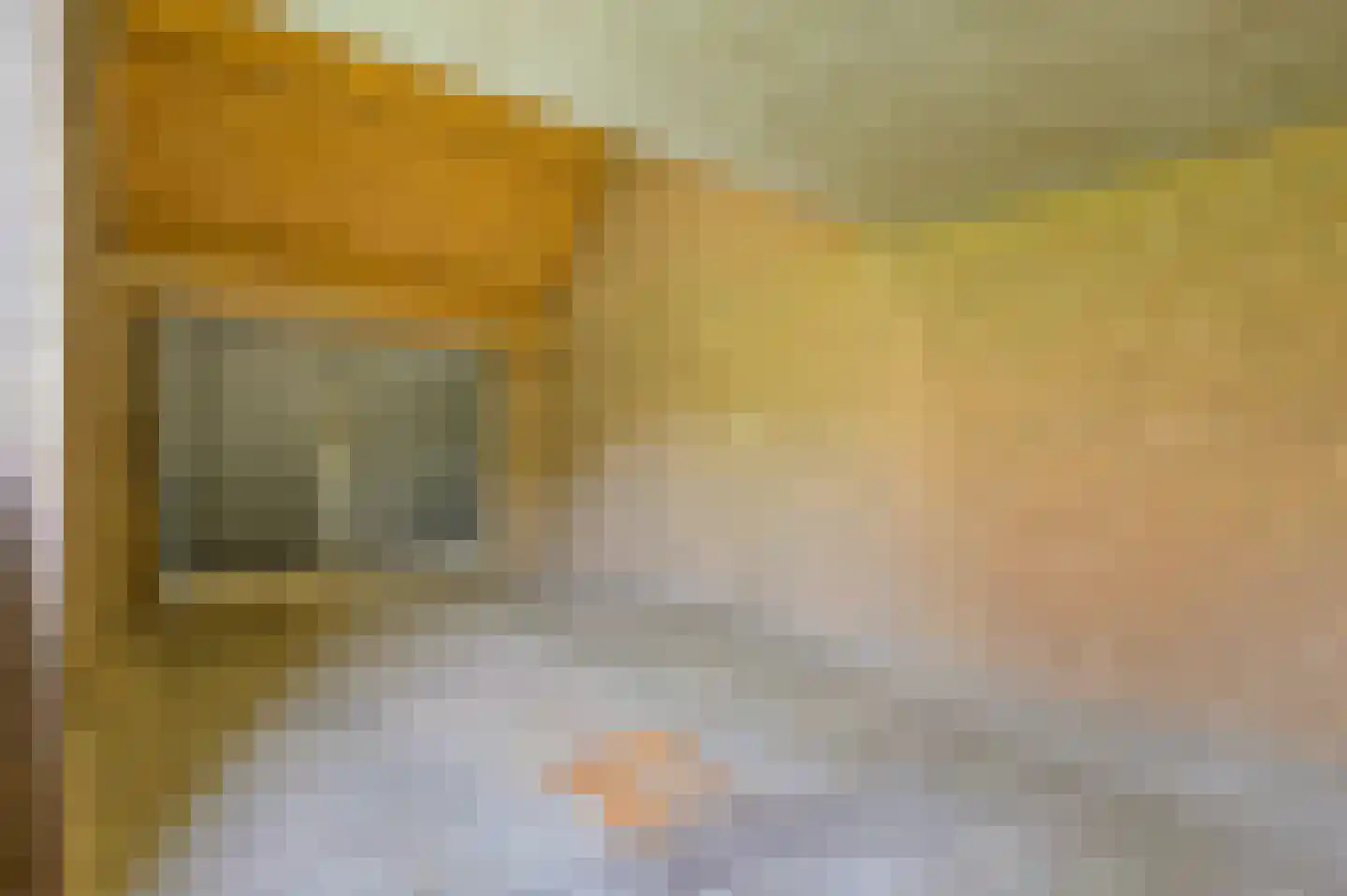 Wilhelmina Druckererf 15 Voorschoten thumbnail 32