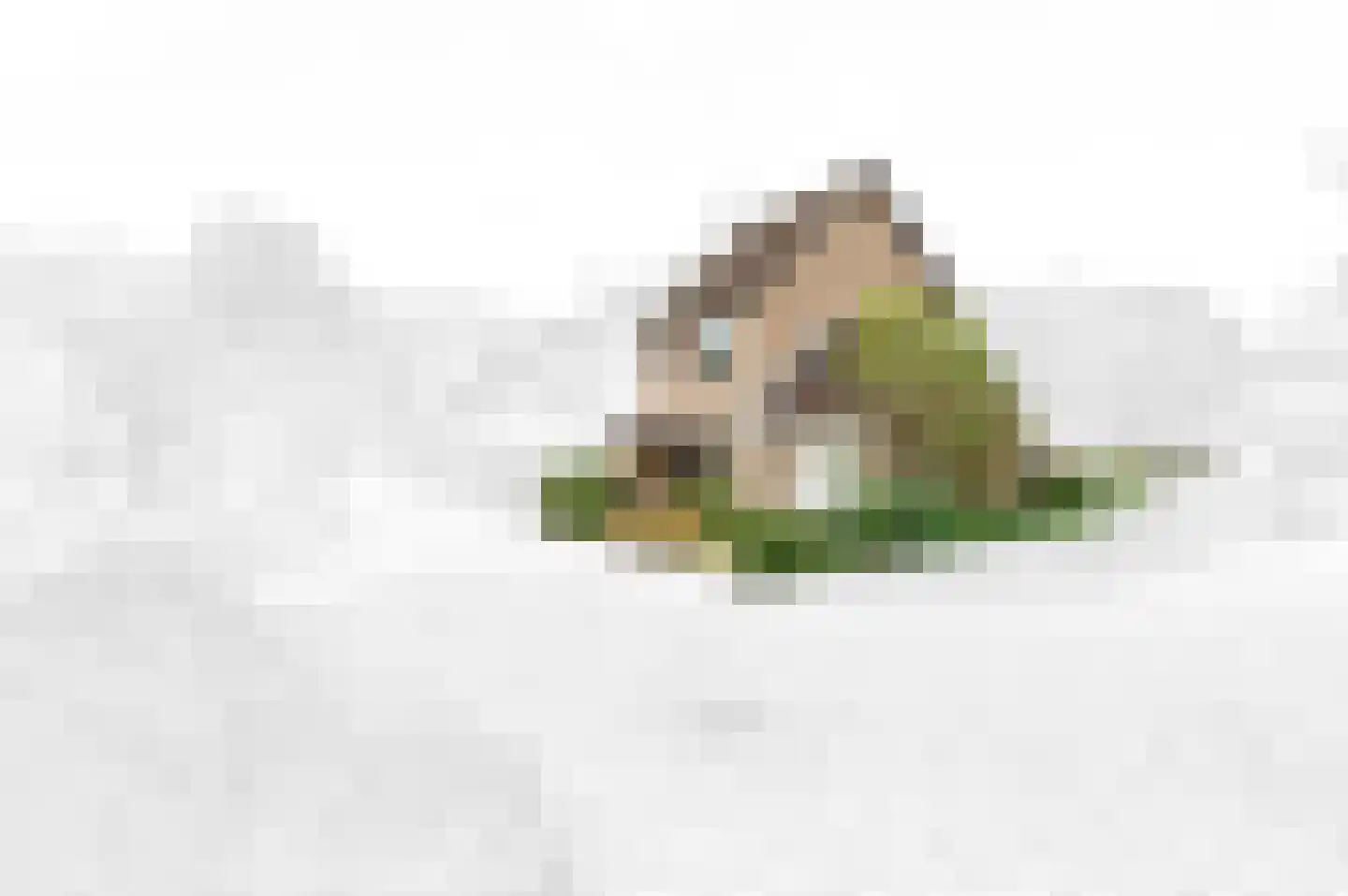 Wilhelmina Druckererf 15 Voorschoten thumbnail 5
