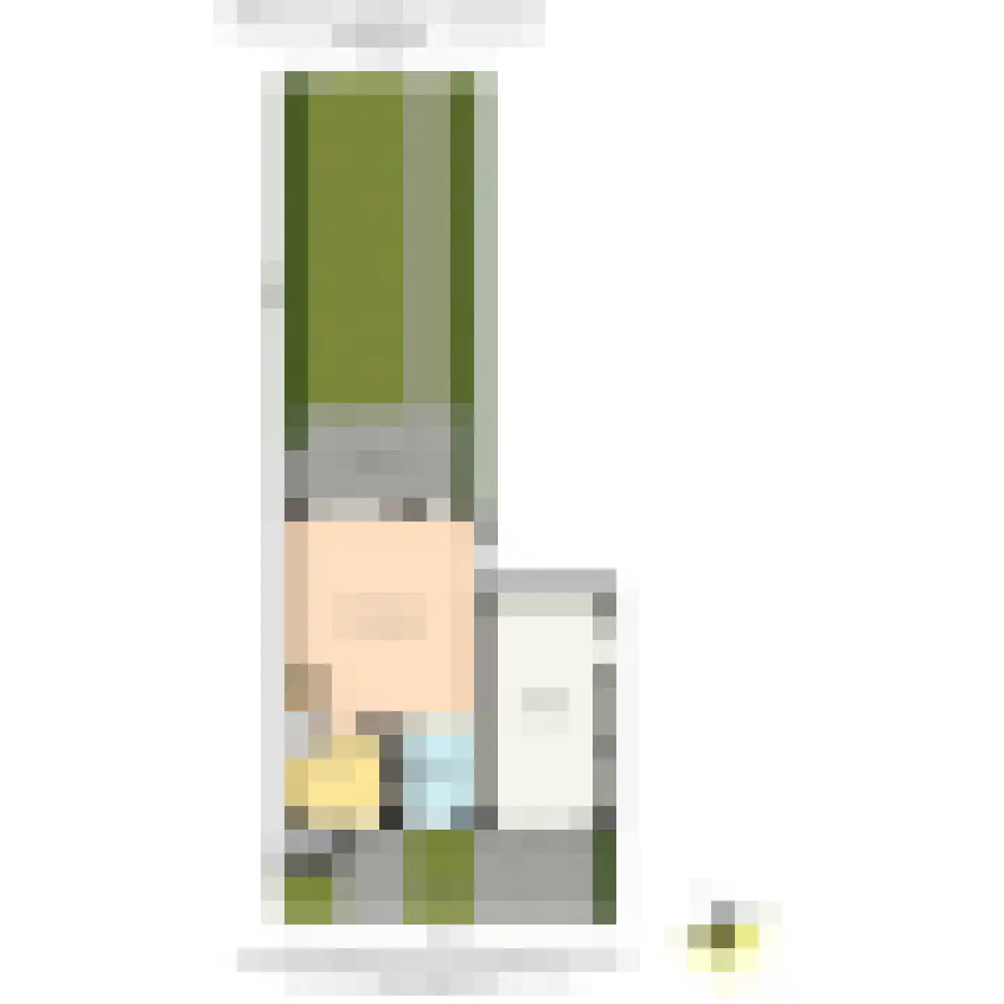 Wilhelmina Druckererf 15 Voorschoten thumbnail 51