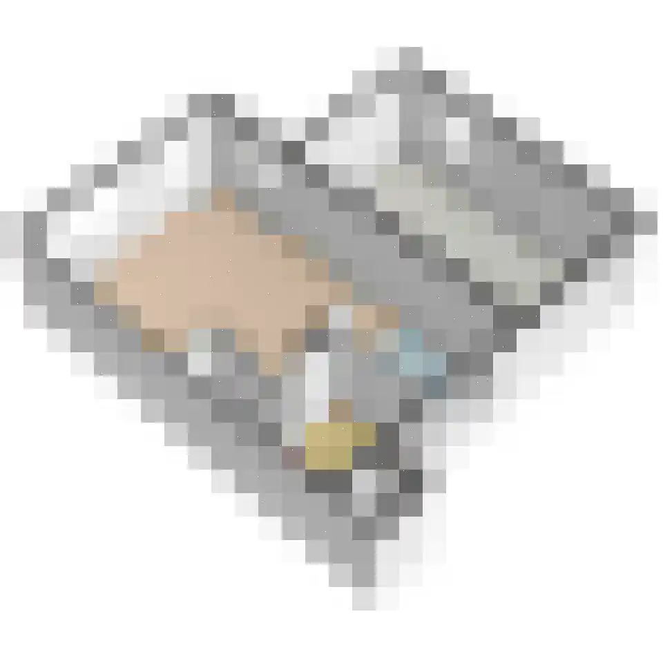 Wilhelmina Druckererf 15 Voorschoten thumbnail 55