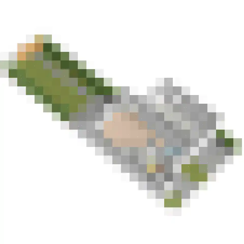 Wilhelmina Druckererf 15 Voorschoten thumbnail 73