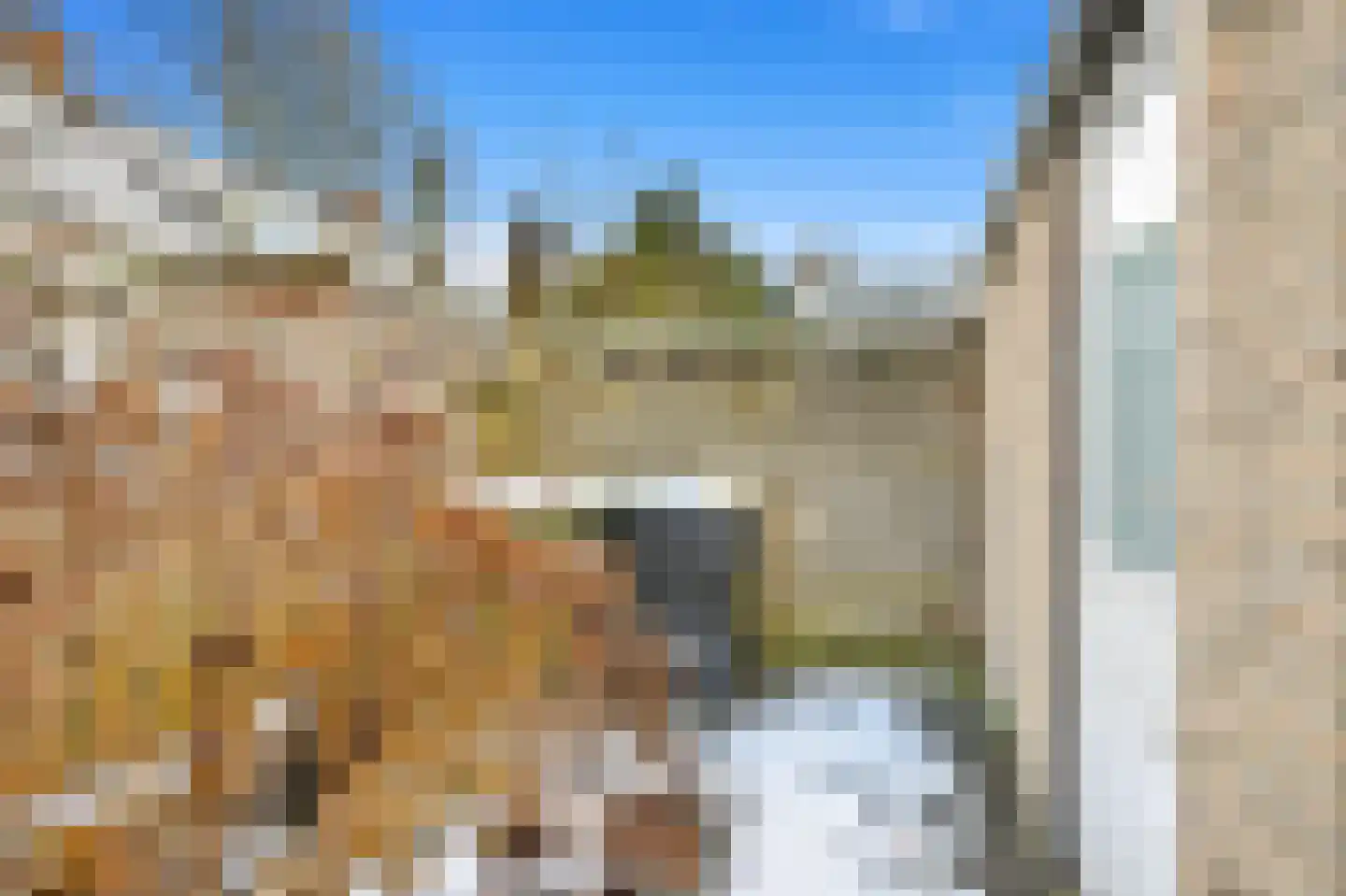 Wilhelmina Druckererf 3 Voorschoten thumbnail 13