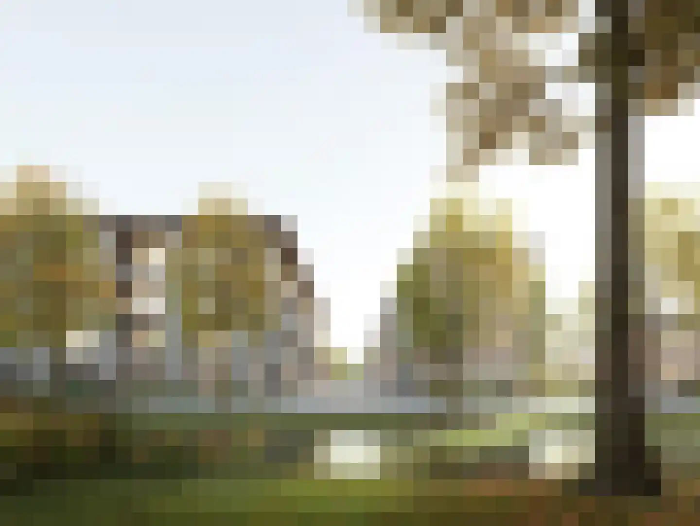 Wilhelmina Druckerhof 17 Gouda thumbnail 8