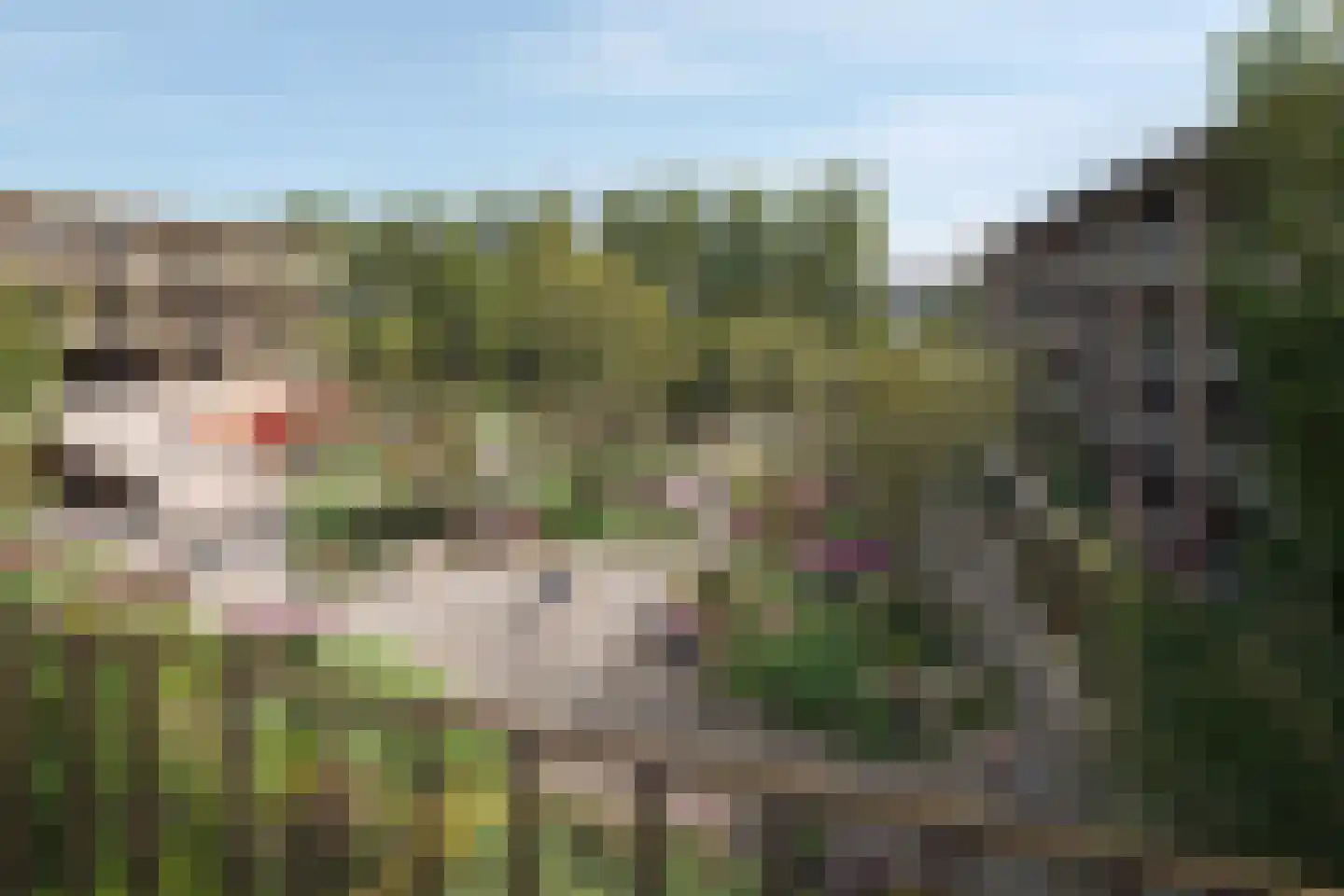 Wilhelmina Druckerhof 24 Gouda thumbnail 5