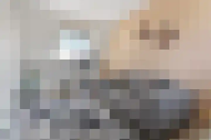 Wilhelmina Druckerlaan 21 Vlissingen thumbnail 22