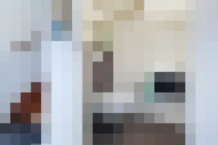 Wilhelmina Druckerlaan 21 Vlissingen thumbnail 6