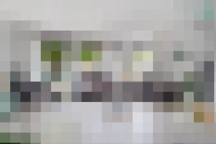 Wilhelmina Druckerlaan 21 Vlissingen thumbnail 7
