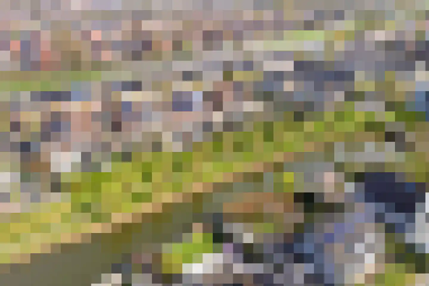 Wilhelmina Druckerlaan 25 Vlissingen thumbnail 33