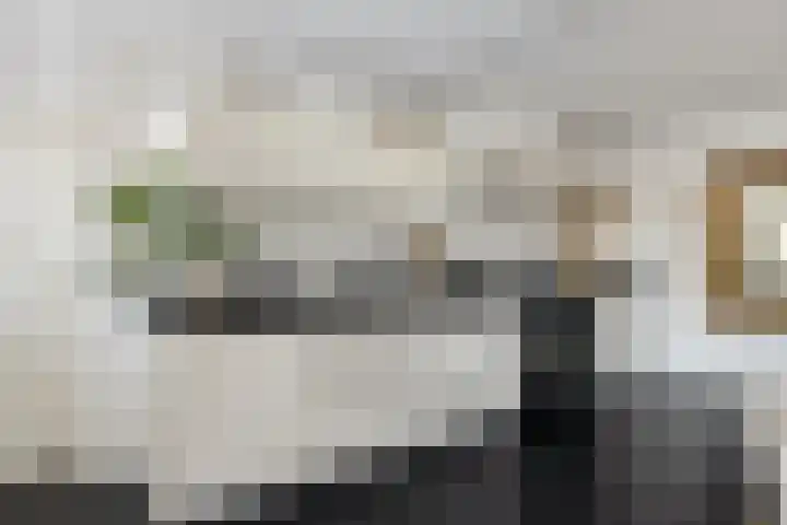 Wilhelmina Druckerlaan 27 Vlissingen thumbnail 17
