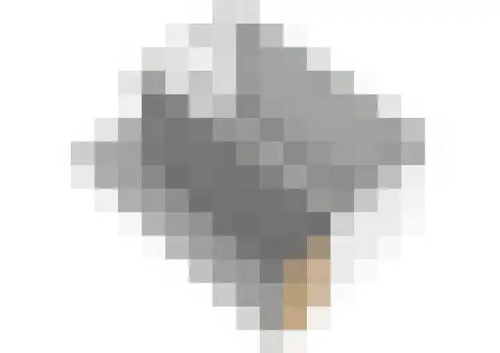 Wilhelmina Druckerlaan 29 Amstelveen thumbnail 32