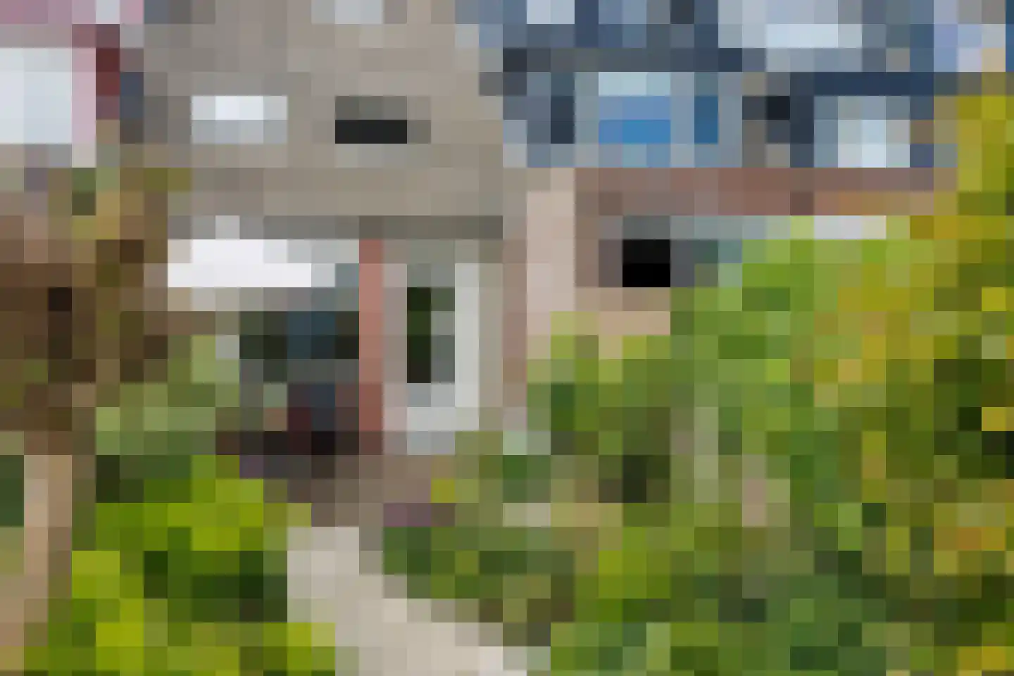 Wilhelmina Druckerstraat 13 Velserbroek thumbnail 27