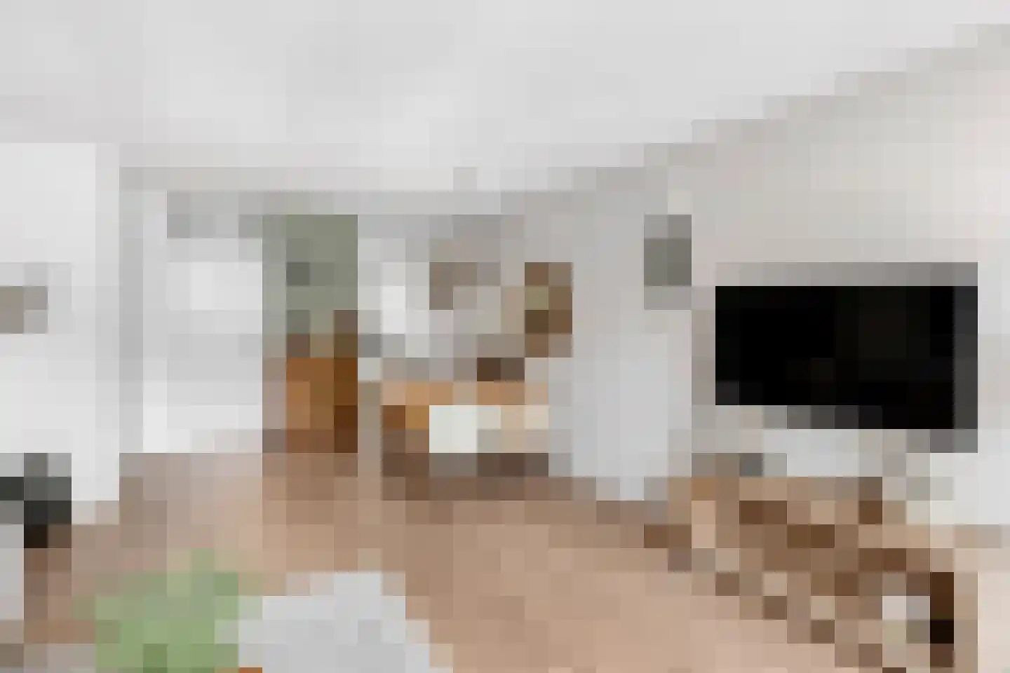 Wilhelmina Druckerstraat 13 Velserbroek thumbnail 8