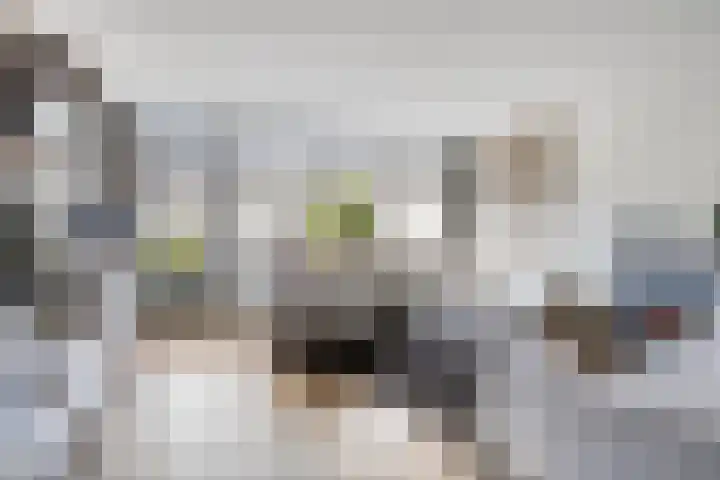 Wilhelmina Druckerstraat 19 Spijkenisse thumbnail 6