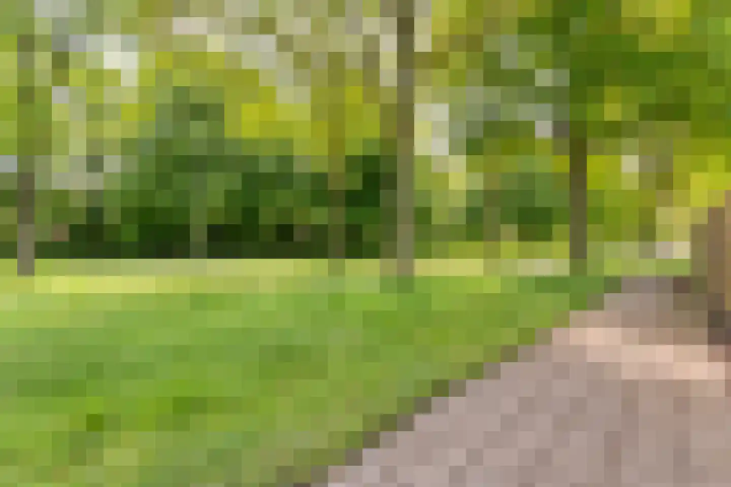 Wilhelmina Druckerstraat 22 Coevorden thumbnail 43