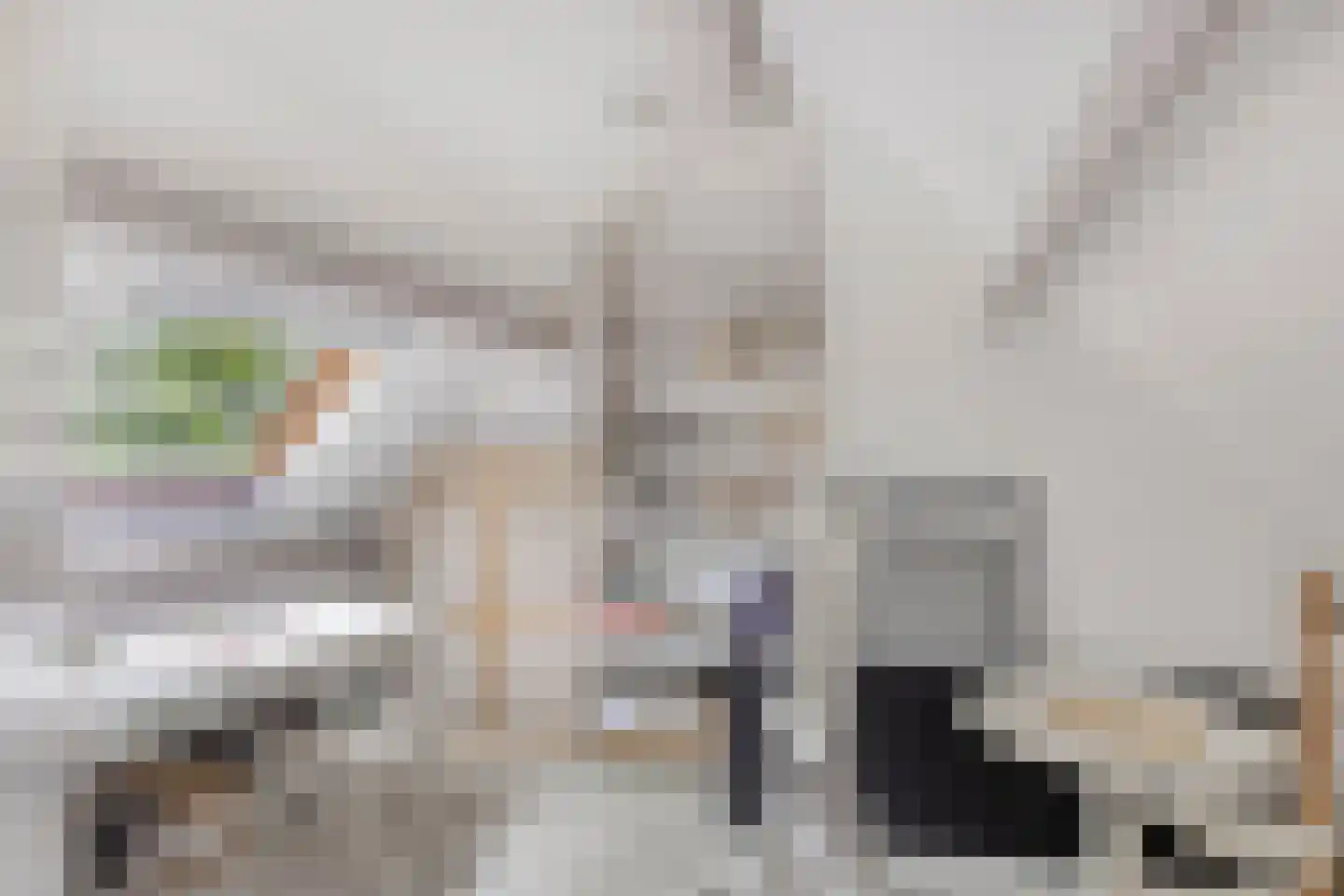 Wilhelmina Druckerstraat 36 Alphen aan den Rijn thumbnail 31