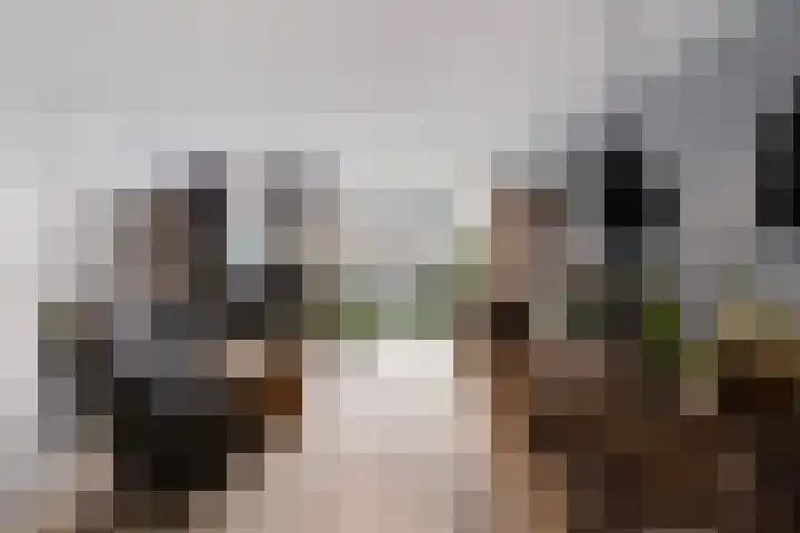Wilhelmina Druckerstraat 38 Spijkenisse thumbnail 5