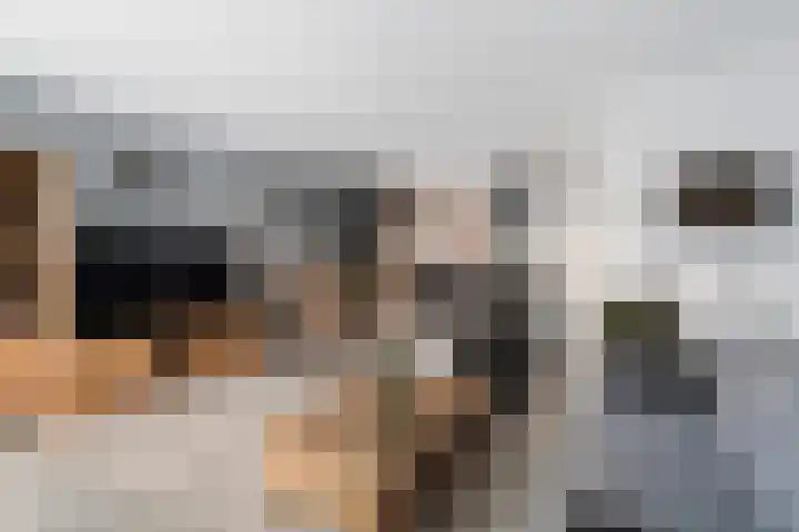 Wilhelmina Druckerstraat 38 Spijkenisse thumbnail 6