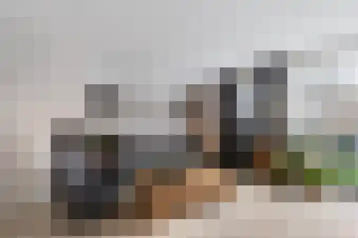Wilhelmina Druckerstraat 38 Spijkenisse thumbnail 8