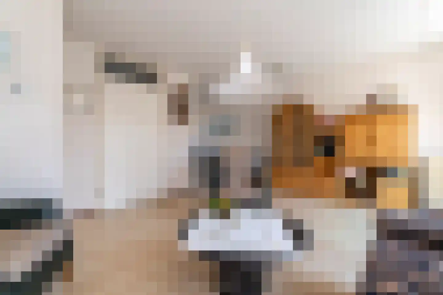 Wilhelmina Druckerstraat 4 Veenendaal thumbnail 6