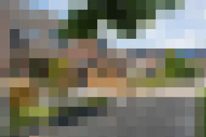 Wilhelmina Druckerstraat 90 Coevorden thumbnail 4