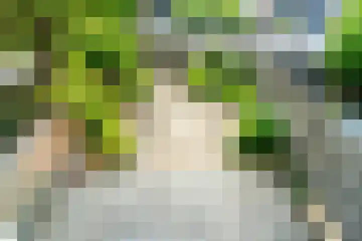 Wilhelmina Druckertuin 21 Heerhugowaard thumbnail 35