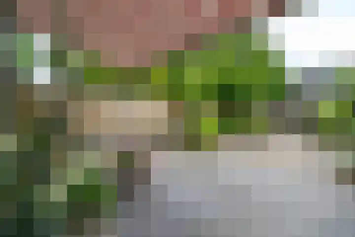 Wilhelmina Druckertuin 21 Heerhugowaard thumbnail 42