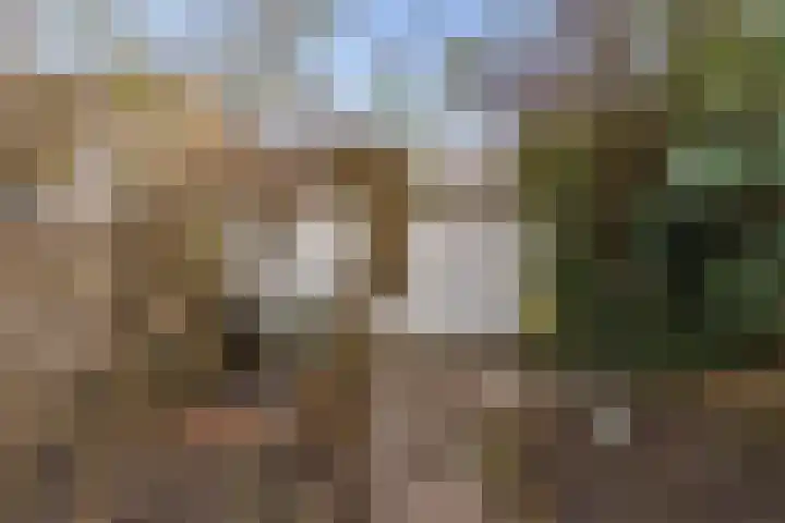 Wilhelmina Druckerweg 34 Culemborg thumbnail 38