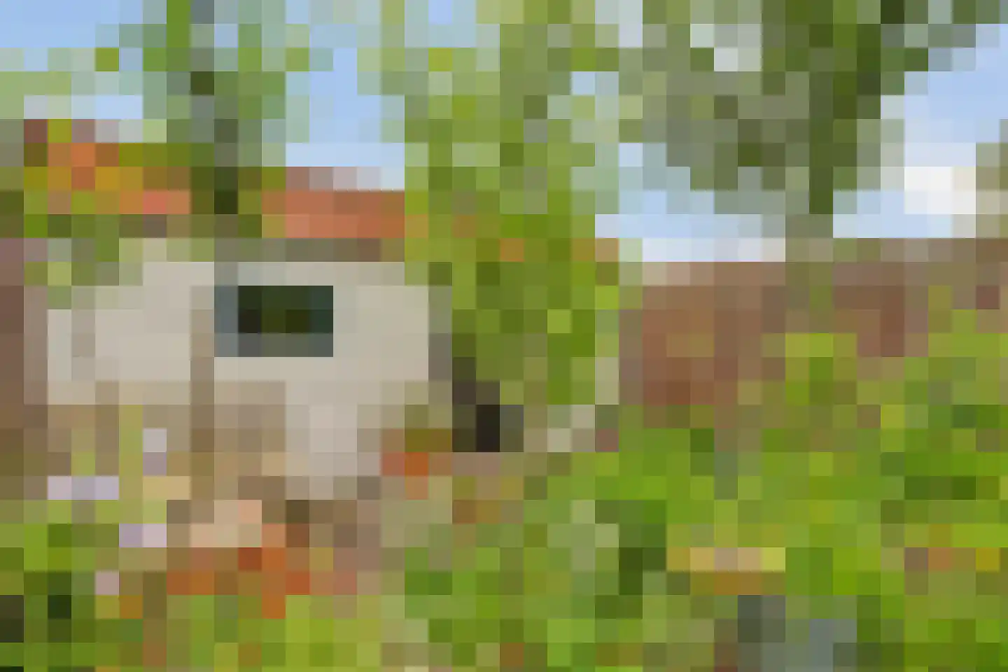 Wilhelmina Druckerweg 48 Culemborg thumbnail 37
