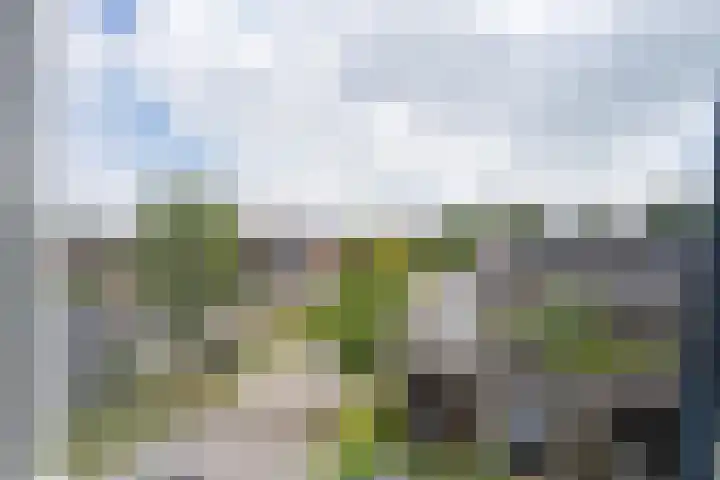 Wilhelmina Druckerweg 56 Culemborg thumbnail 63