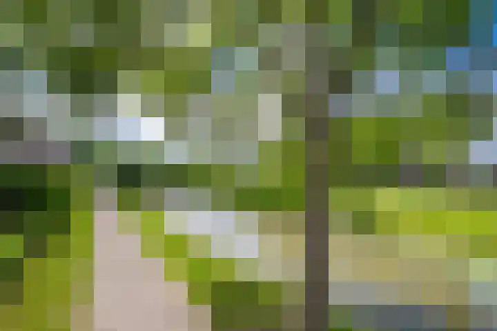 Wilhelmina Druckerweg 56 Culemborg thumbnail 65