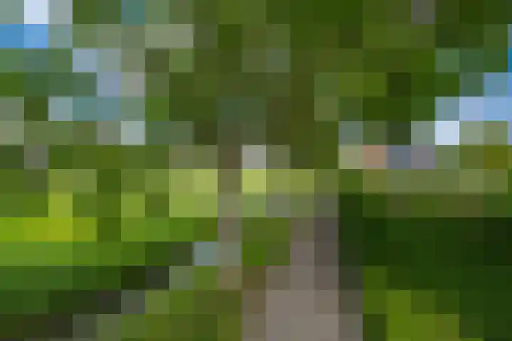 Wilhelmina Druckerweg 56 Culemborg thumbnail 66