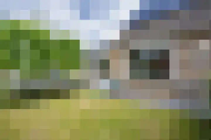 Wilhelmina Druckerweg 56 Culemborg thumbnail 8