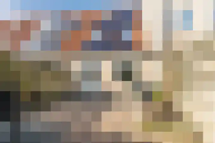 Wilhelmina Druckerweg 86 Culemborg thumbnail 29