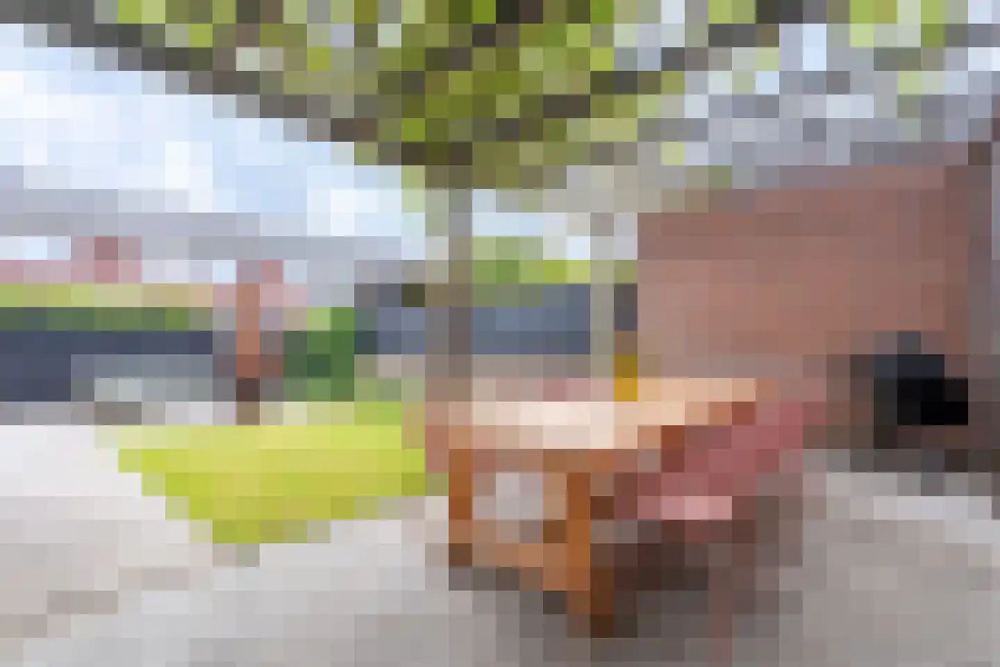 Wilhelmina Geevestraat 18 Poortugaal thumbnail 32