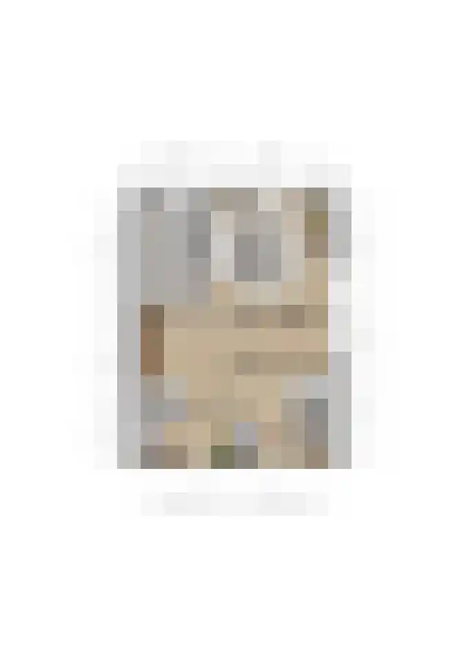 Wilhelmina Geevestraat 18 Poortugaal thumbnail 34