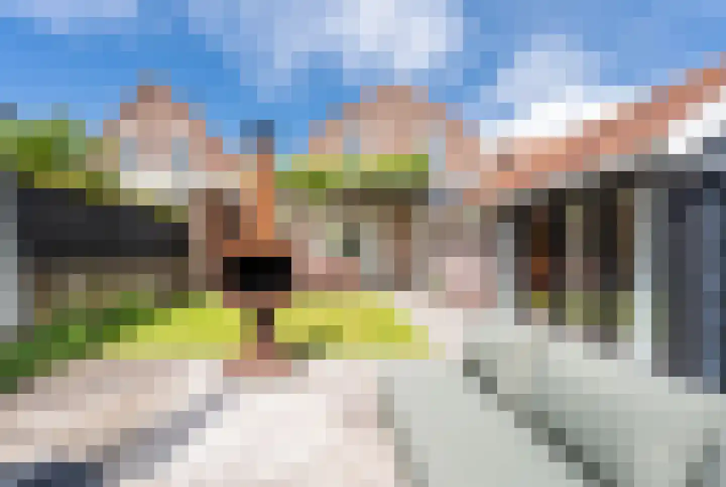 Wilhelmina Geevestraat 18 Poortugaal thumbnail 5