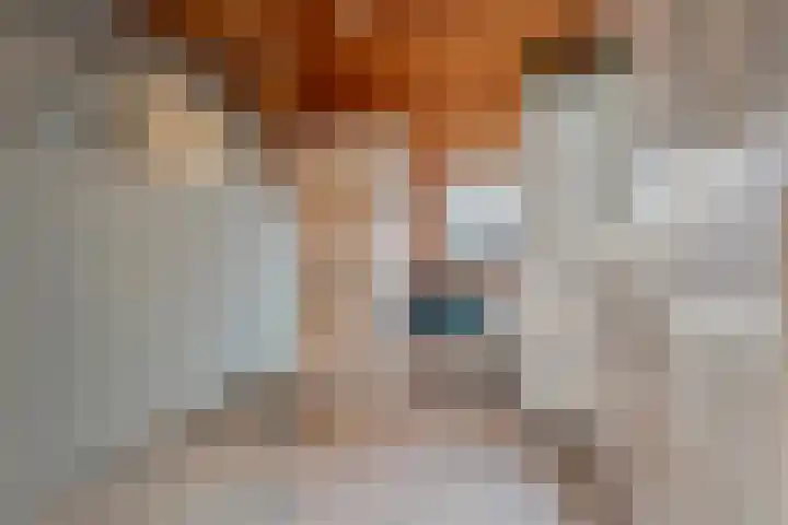 Wilhelmina Geevestraat 32 Poortugaal thumbnail 26
