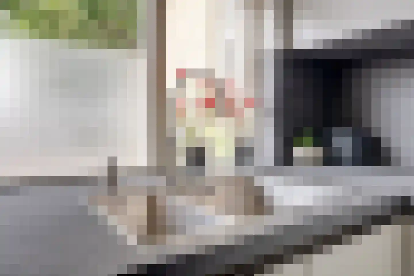 Wilhelmina Hofman-Pootstraat 56 Spijkenisse thumbnail 5